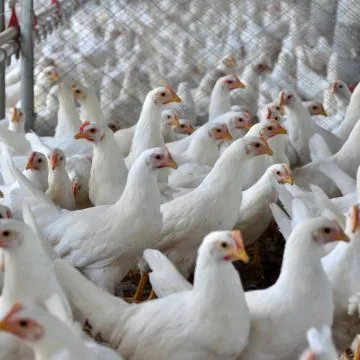 Com as altas temperaturas registradas, a ventilação com motores potentes se torna fundamental